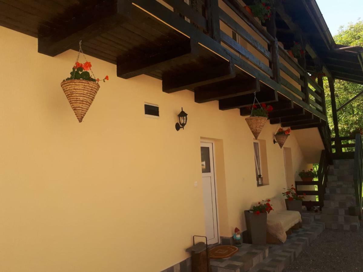 Pensiunea Casa Godja Valeni  Экстерьер фото